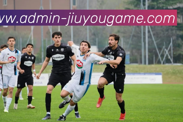 J9九游平台生态图